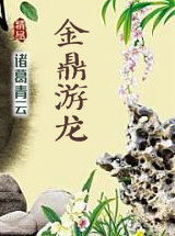 金鼎游龍