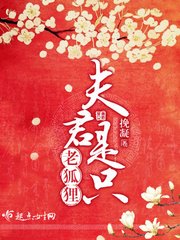 夫君是隻老狐狸