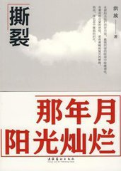撕裂:那年月陽光燦爛